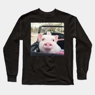 Piglets That Are Even Cuter Than Kittens 3 Long Sleeve T-Shirt